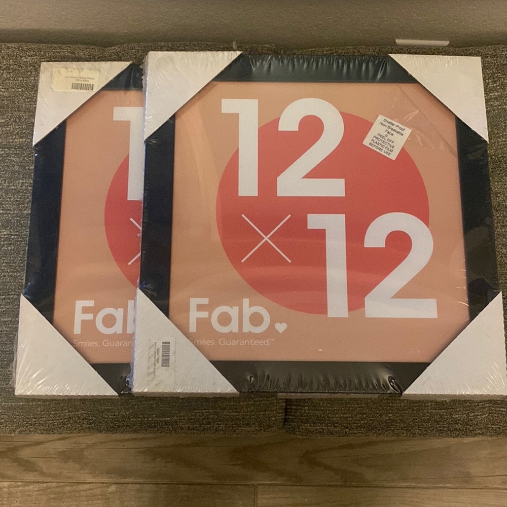 Fab.com Shatterproof Frames 12x12 NEW